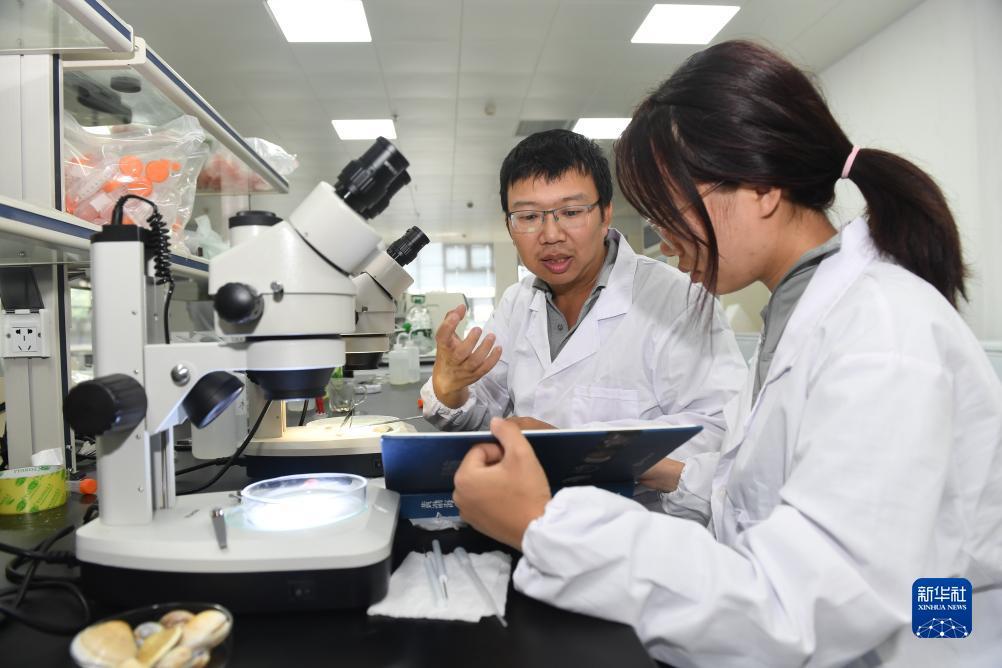 bb幸运熊猫投注软件